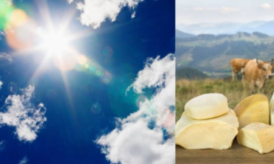 aumento precios leche y queso — Alerta por aumento precios leche y queso en Colombia debido al fenómeno El Niño