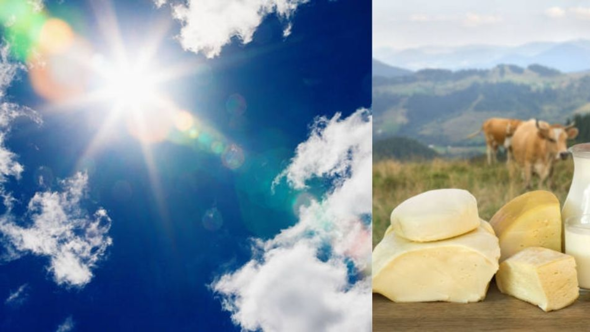 aumento precios leche y queso — Alerta por aumento precios leche y queso en Colombia debido al fenómeno El Niño