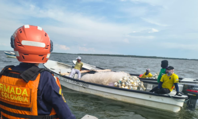 Ataque pescadores Magdalena — Ataque Pescadores Magdalena: Dominio Criminal en Ciénaga Grande