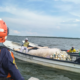 Ataque pescadores Magdalena — Ataque Pescadores Magdalena: Dominio Criminal en Ciénaga Grande