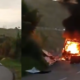vehículo incinerado Panamericana — Incidente de Vehículo Incinerado en Vía Panamericana en Cauca: Autoridades Inves