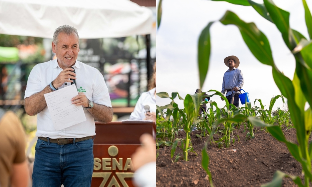 Tienda Sena Campesinos — Tienda Sena Campesinos Zajuna Campo impulsa comercialización rural en El Zulia