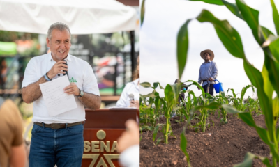 Tienda Sena Campesinos — Tienda Sena Campesinos Zajuna Campo impulsa comercialización rural en El Zulia