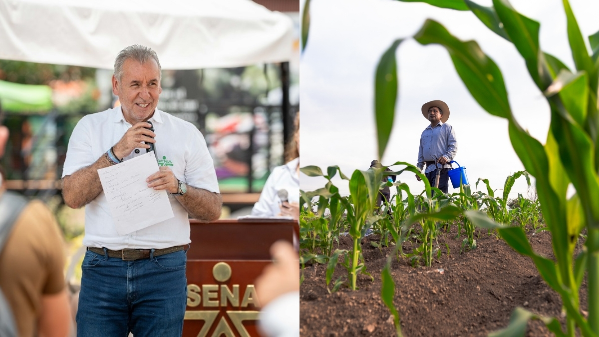 Tienda Sena Campesinos — Tienda Sena Campesinos Zajuna Campo impulsa comercialización rural en El Zulia