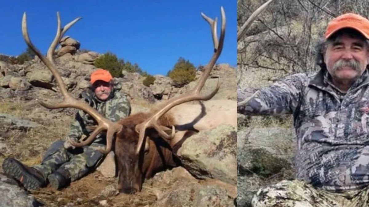 muerte cazador elefantes — Muerte de Cazador Multimillonario en Gabón Tras Ataque de Elefantes