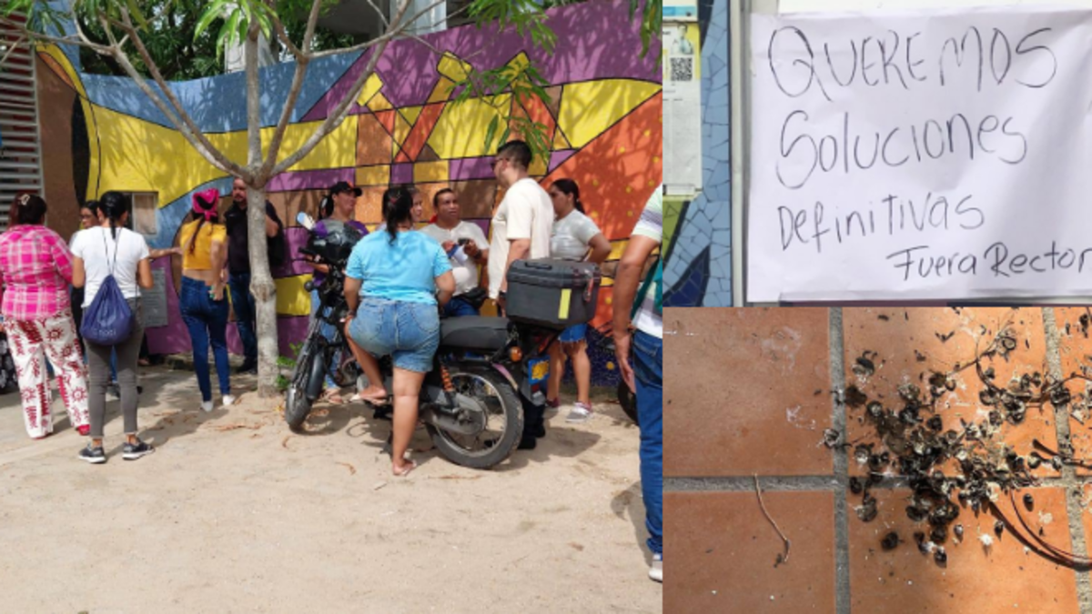 Murciélagos colegio Polonuevo — Padres protestan por murciélagos en colegio de Polonuevo