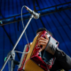 salvaguardia vallenato tradicional — Urgente llamado a la salvaguardia vallenato tradicional en Colombia