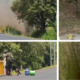detonación controlada Cauca — Detonación controlada Cauca: neutralizan cinco cilindros explosivos en vía Panam