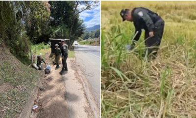 Explosivos Piendamó — Neutralizan Explosivos Piendamó, Cauca: Policía evita tragedia en vía Panamerica