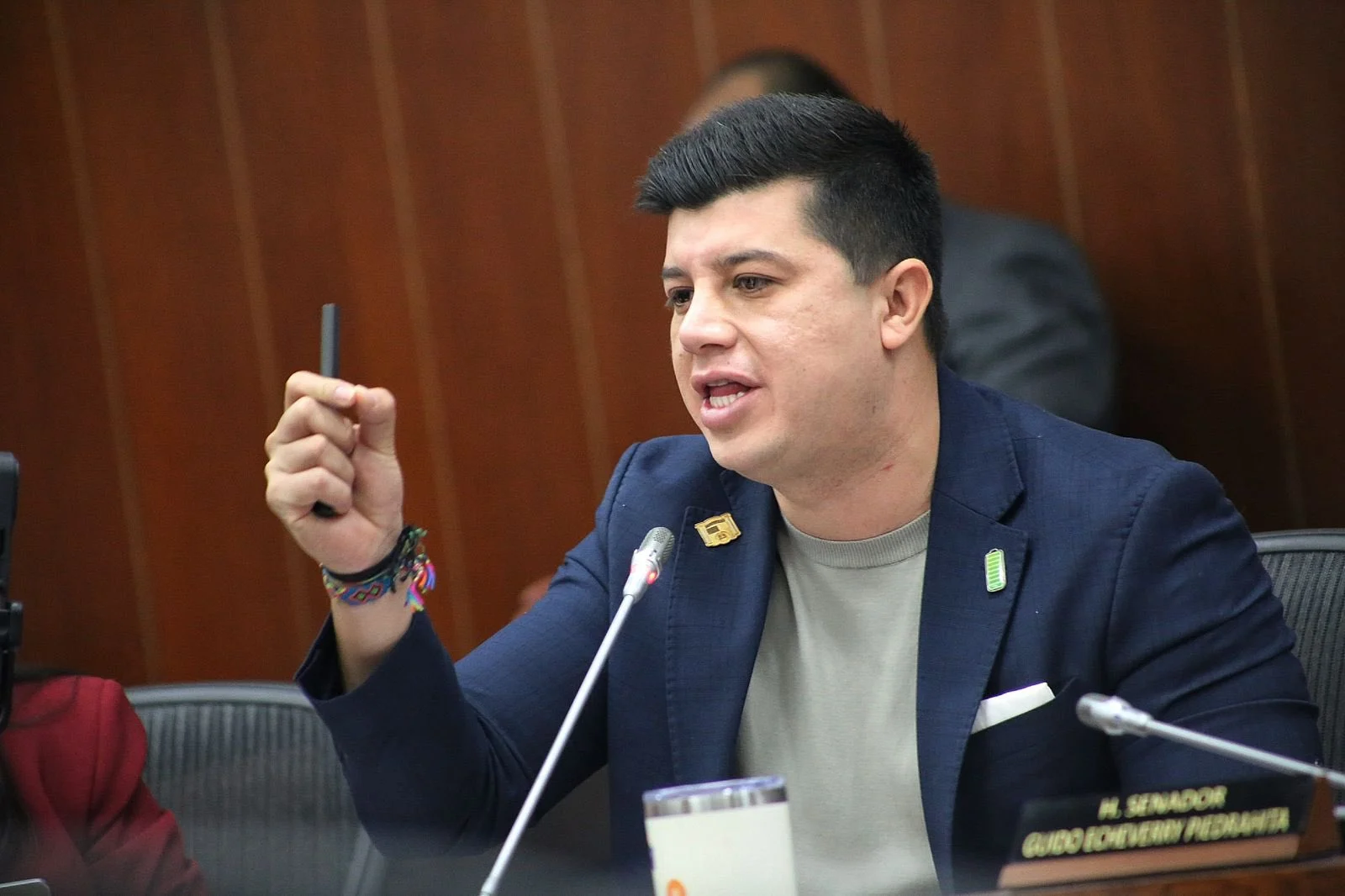 Cobro Fotomultas — Cobro Fotomultas: Senado debate legalidad y destino de millonarios recursos