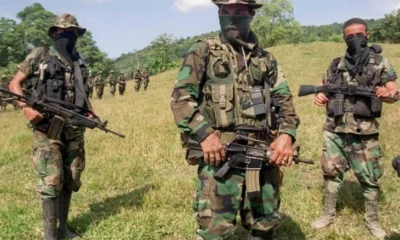 Acuerdo Paz Clan del Golfo — Clan del Golfo Declara Imposible Acuerdo de Paz Final con Gobierno Petro