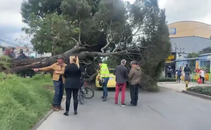 Caída árbol Fontibón — Caída Árbol Fontibón: Restricción en Avenida Esperanza Genera Desvíos
