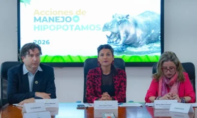 Eutanasia hipopótamos Colombia — Gobierno Autoriza Eutanasia de 80 Hipopótamos en Colombia para Control Poblacion