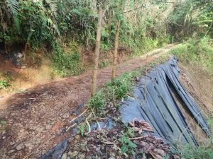 vía La Nueva Independencia — Abandono oficial amenaza la única vía de acceso en Dosquebradas