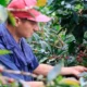 Inversión café Colombia — Gobierno aprueba millonaria inversión café Colombia para enfrentar El Niño