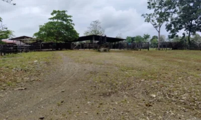 Incautación bienes paramilitarismo — Golpe histórico: Incautan bienes del paramilitarismo por $65.000 millones