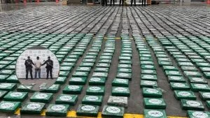 incautación coca Caquetá — Incautación coca Caquetá: Policía decomisa 120 kg en vía rural