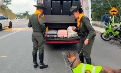 capturas por delitos ambientales — Capturas por delitos ambientales en Semana Santa: 411 detenidos en operativos de