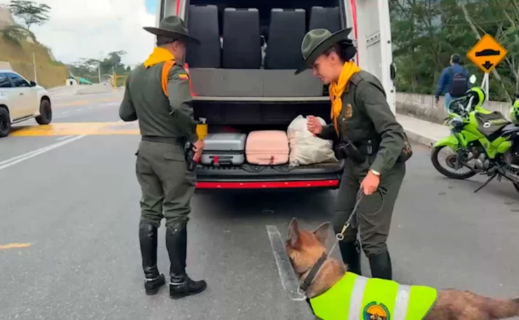 capturas por delitos ambientales — Capturas por delitos ambientales en Semana Santa: 411 detenidos en operativos de