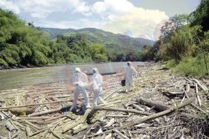 hallazgo cuerpo Marsella — Impactante Hallazgo: Cuerpo Sin Cabeza en el Río Cauca, Marsella