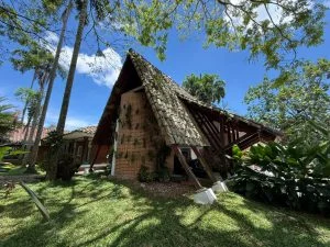 Pereira epicentro creativo — Pereira se consolida como epicentro creativo con Fundación CerguiArt