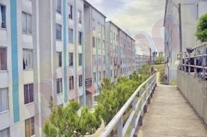 hombre baleado Torres del Campo — Hombre baleado en Torres del Campo sobrevivió a ataque gracias a rápida respuest