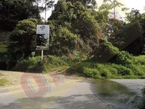 tragedia rescate perrito — Tragedia rescate perrito: Menor fallece intentando salvar a su mascota