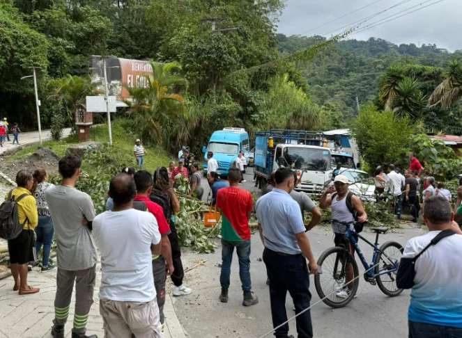 protestas interrupción energía — Protestas interrupción energía en Mesitas del Colegio tras diez días sin luz