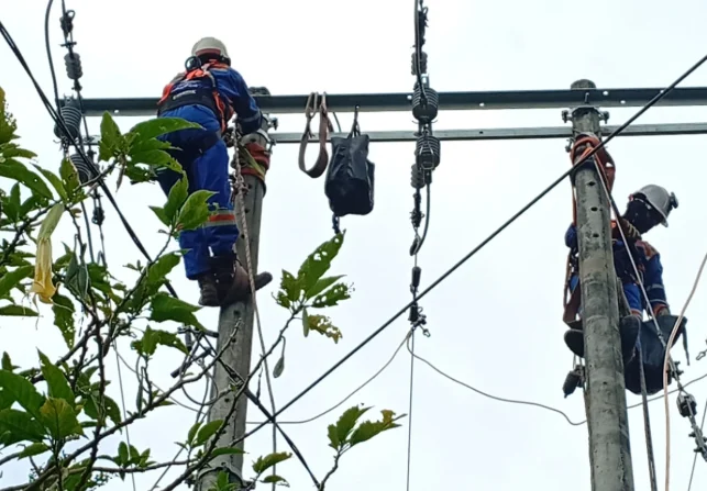 multa Enel Colombia — Multa Millonaria a Enel Colombia por Alterar Precios de Energía en el Mercado Ma