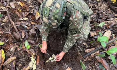 Explosivos El Tambo — Explosivos El Tambo: Frustran acción terrorista en el Cauca