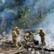 incendio en vivienda de Pereira — Incendio en Villa del Carmen: Bomberos evitan tragedia en Pereira