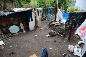 inseguridad alimentaria Risaralda — Risaralda Reporta Reducción de Inseguridad Alimentaria en 2025
