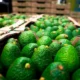potencial exportador agroindustria — Hoja de Ruta para Impulsar el Potencial Exportador Agroindustria en Colombia