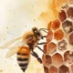 protección abejas Risaralda — Risaralda Lidera la Protección de Abejas con Leyes y Programas Innovadores