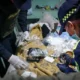 capturas San Bernardo Bogotá — Capturas San Bernardo Bogotá: Siete detenidos en operativo contra el crimen