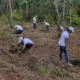 Ley 2173 reforestación — Colombia: Empresas Obligadas a la Reforestación con Ley 2173
