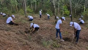 Ley 2173 reforestación — Colombia: Empresas Obligadas a la Reforestación con Ley 2173