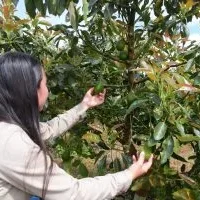exportaciones Risaralda — Exportaciones de Risaralda Cayeron 18.1% en Mayo de 2026