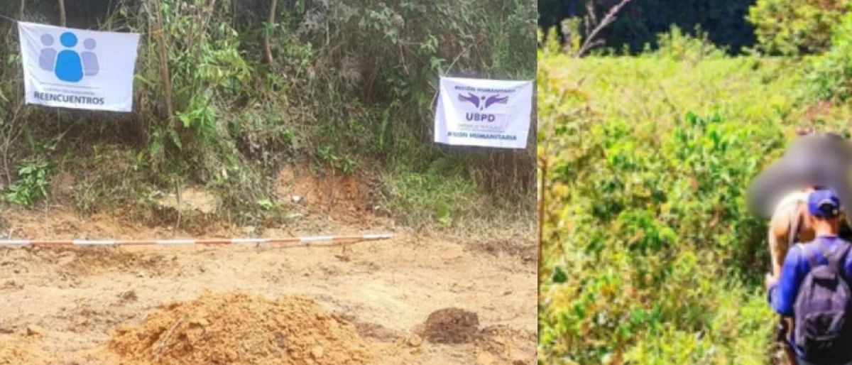 Hallazgo cuerpos Tolima — Hallazgo cuerpos Tolima: UBPD recupera 5 desaparecidos en Parque Nacional