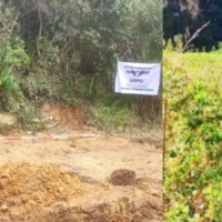 Hallazgo cuerpos Tolima — Hallazgo cuerpos Tolima: UBPD recupera 5 desaparecidos en Parque Nacional