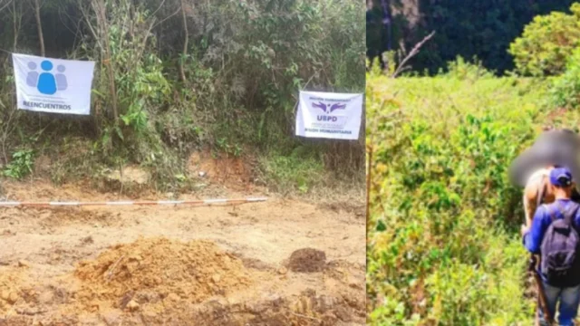 Hallazgo cuerpos Tolima — Hallazgo cuerpos Tolima: UBPD recupera 5 desaparecidos en Parque Nacional
