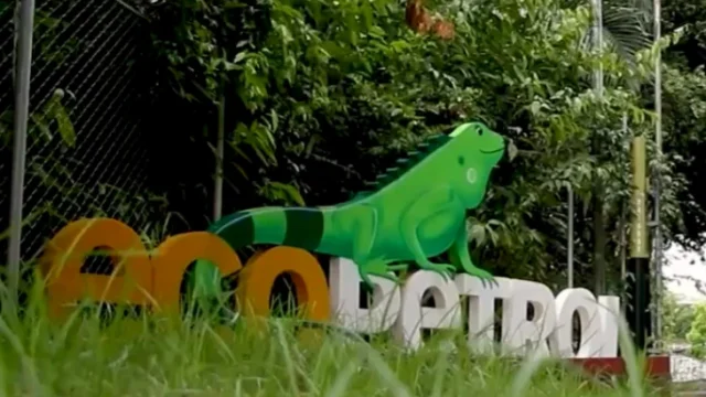 Ecopetrol suministro gas — Ecopetrol activa plan para asegurar suministro de gas en Colombia