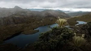 amenazas prensa Santurbán — Denuncian Nuevas Amenazas Prensa Santurbán en Debate Ecológico