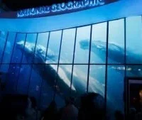 Museo National Geographic — Washington D.C. inaugura el nuevo Museo National Geographic: 138 años de explora