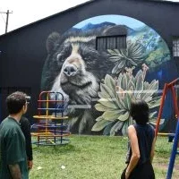 muralismo en Pereira — Muralismo en Pereira: Arte Urbano que Exalta la Biodiversidad Andina