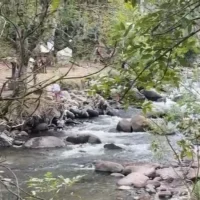 racionamiento energía Colombia — Racionamiento energía Colombia: Expertos advierten por "tormenta perfecta" este