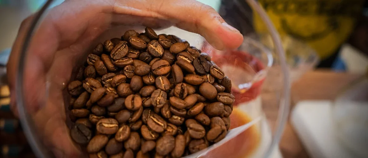 reversión bonanza cafetera — La reversión bonanza cafetera golpea a miles de familias en Colombia