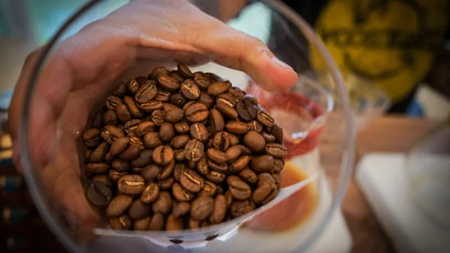 reversión bonanza cafetera — La reversión bonanza cafetera golpea a miles de familias en Colombia
