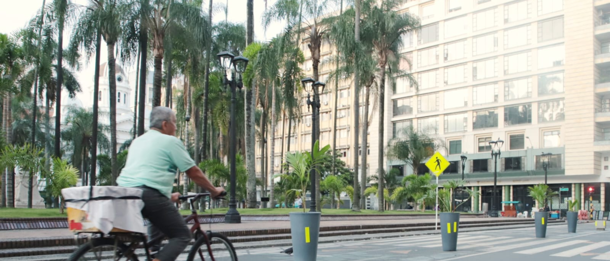 Movilidad Cali Posesión — Movilidad Cali Posesión Presidencial: Día Sin Carro y MIO Gratis el 7 de Agosto
