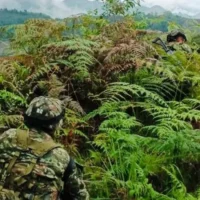 hostigamiento base Inzá — Hostigamiento a Base Militar en Inzá: Suspensión de Clases y el Complejo Panoram